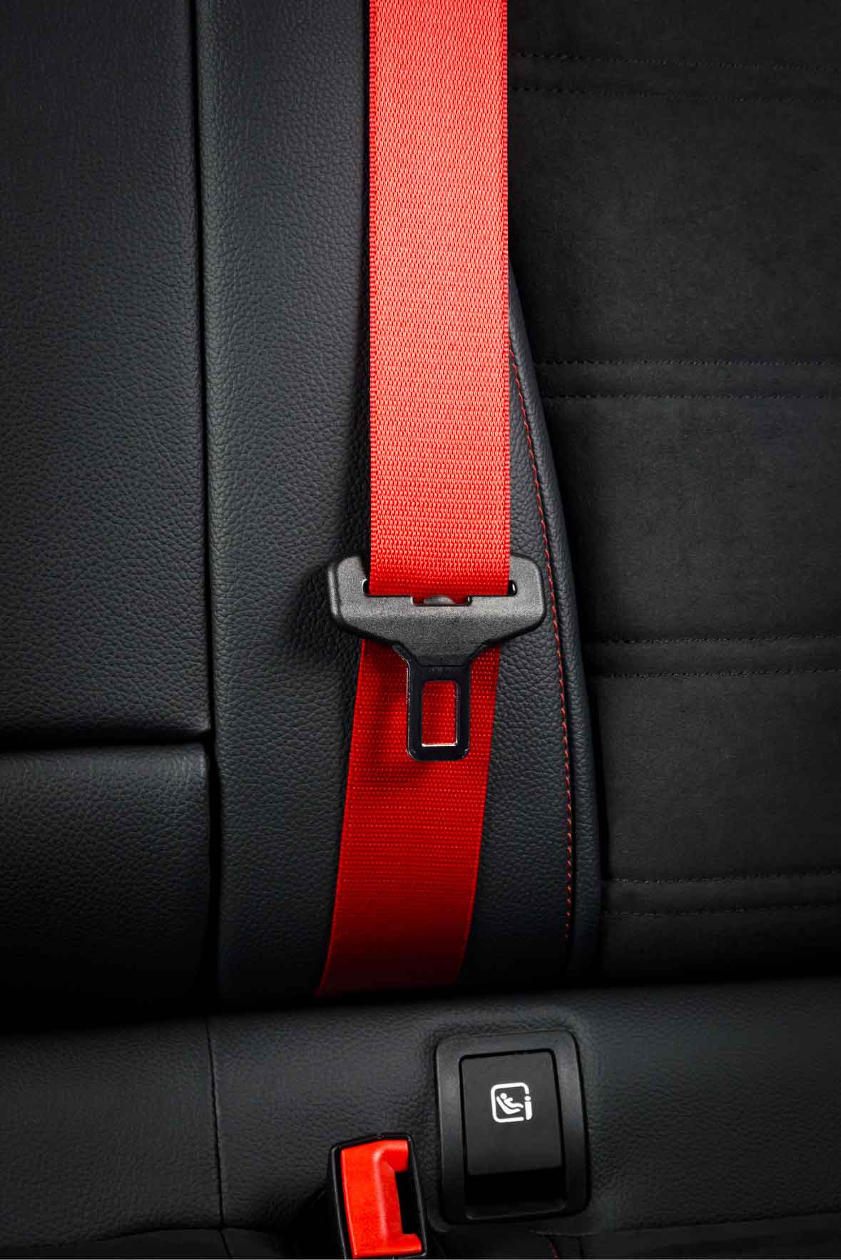 Optional Add-On - Seat Belts